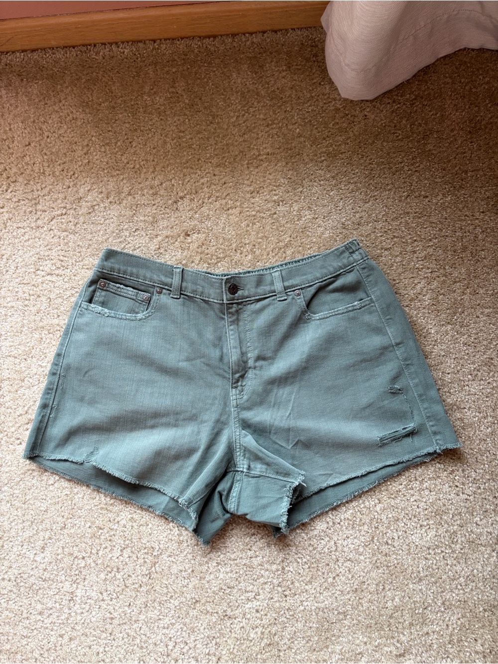 NWT AE shorts, green, large